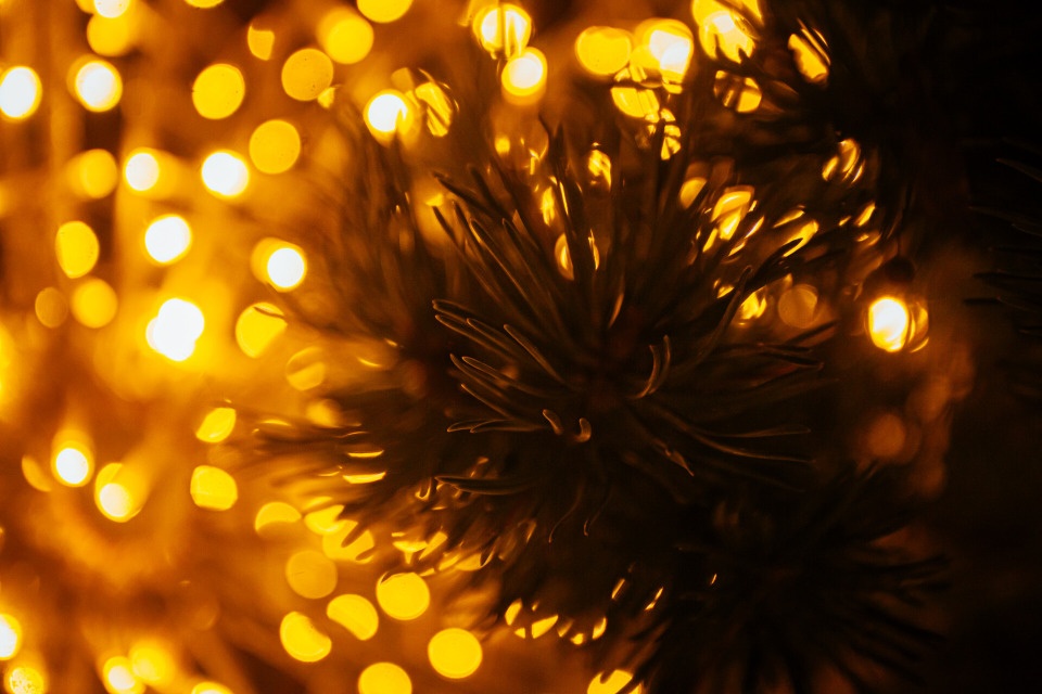 Псков вошел в топ-10 направлений для аренды дома на новогодние праздники