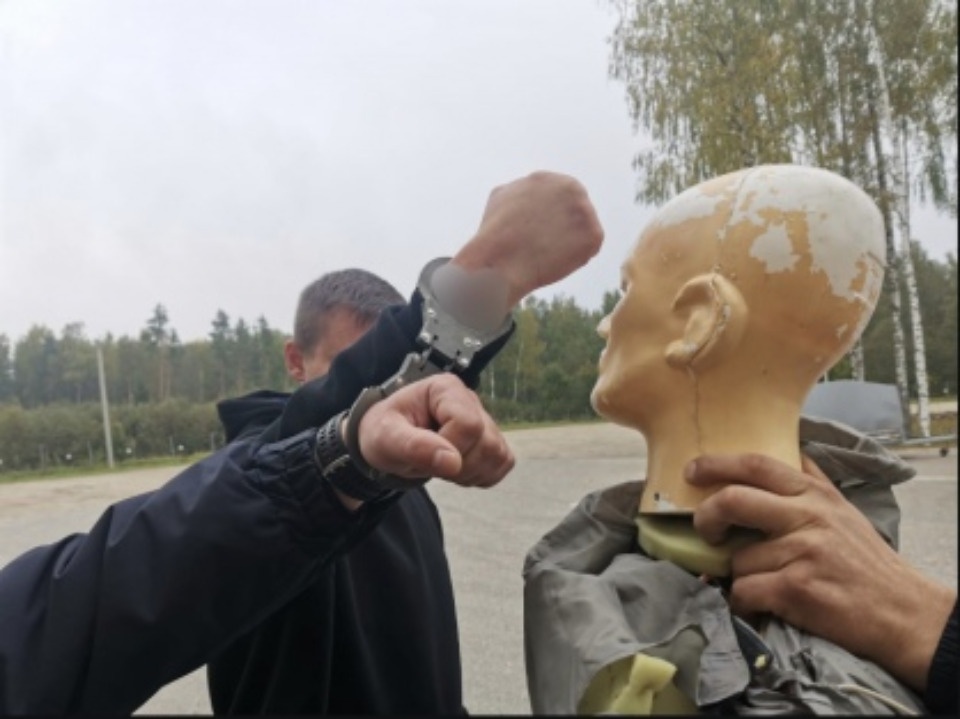 В Себеже осудили иностранца за причинение смерти по неосторожности