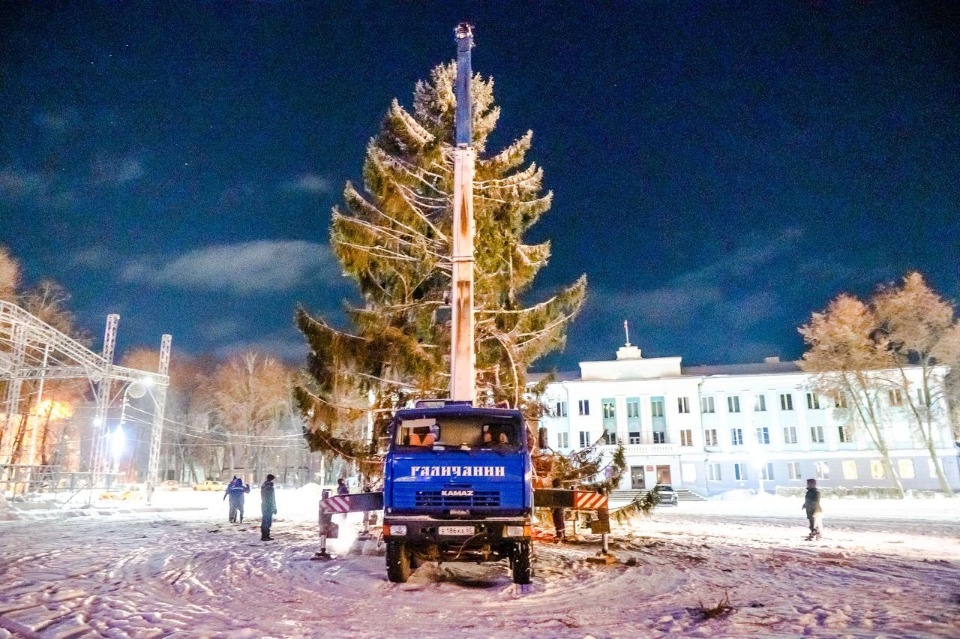 К новогодней ели в Великих Луках приделают обрезанные ветки