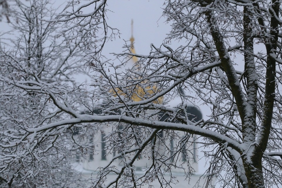 Плюсовые температуры ожидаются по Псковской области 19 декабря