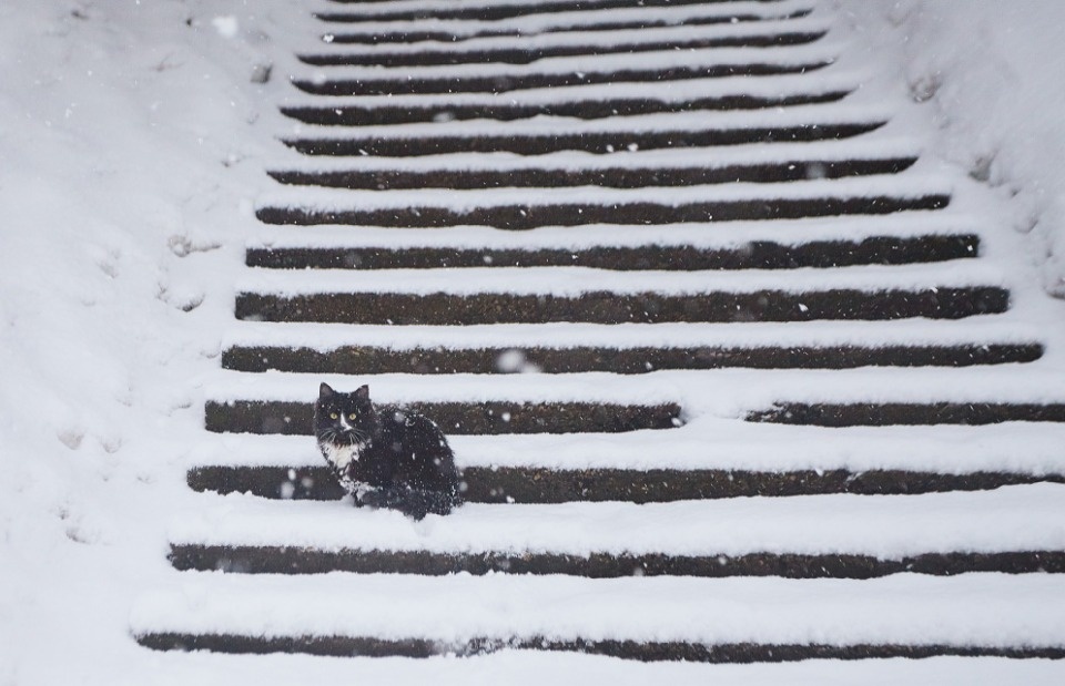 До +4 градусов прогреется воздух в Псковской области 21 декабря