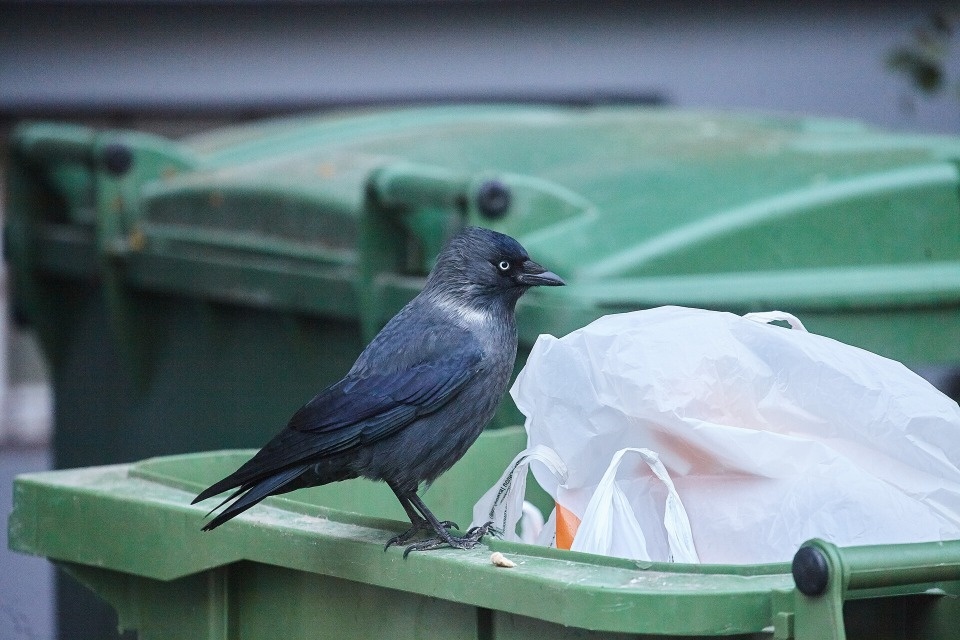 К запуску экотехнопарка в Псковской области откроют мусороперегрузочные станции