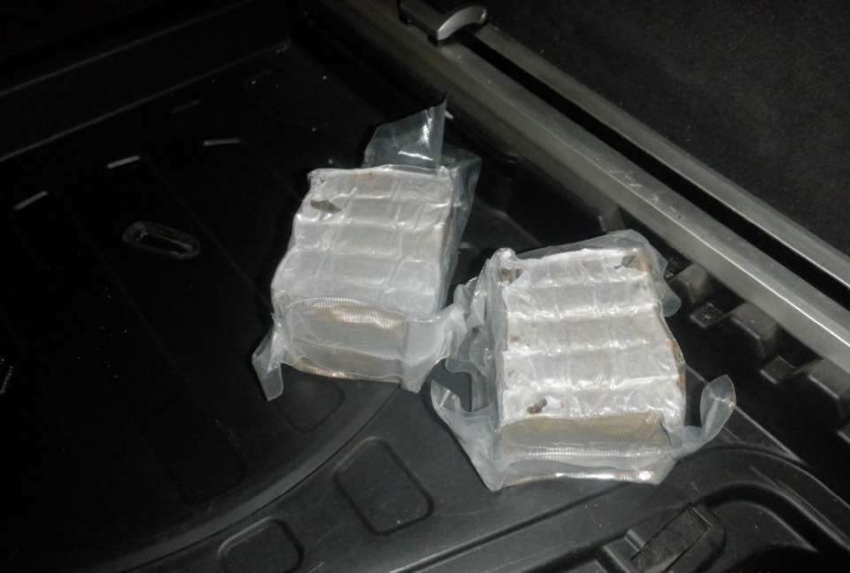 Псковские таможенники пресекли ввоз в Россию порядка 50 кг гашиша Псковские таможенники пресекли ввоз в Россию порядка 50 кг гашиша