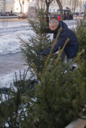 Метр зелени