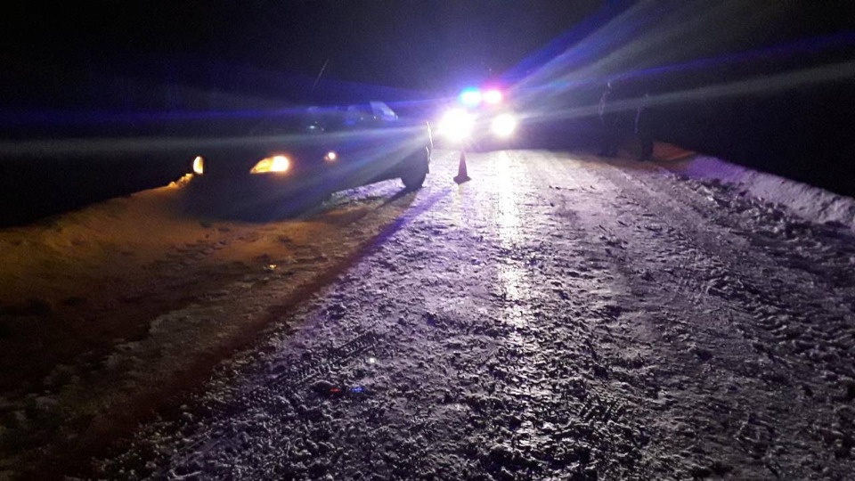 Пьяного пешехода сбили в Невельском районе 