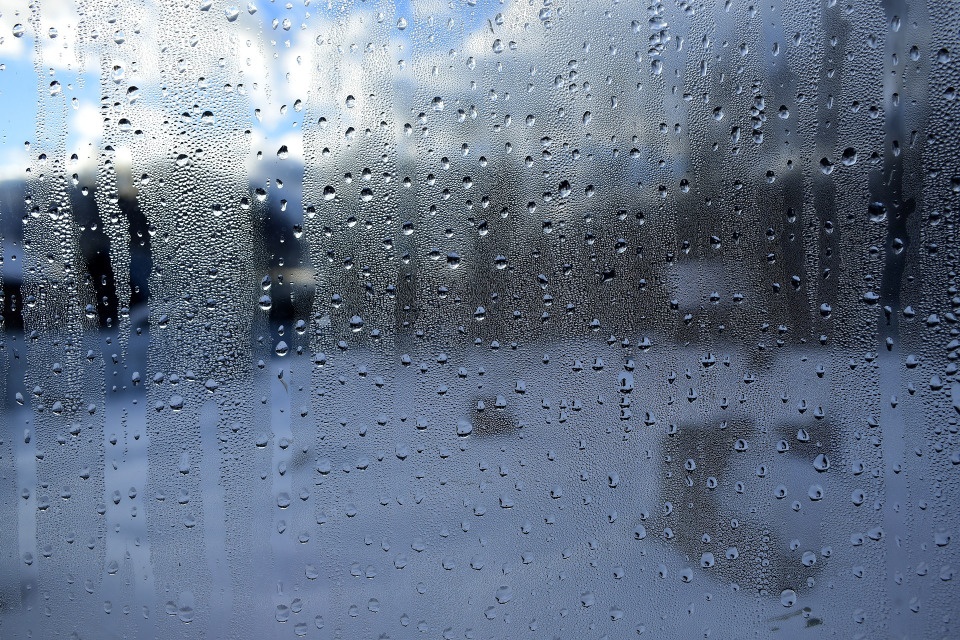 Дождливый день ожидается в Псковской области 30 декабря 