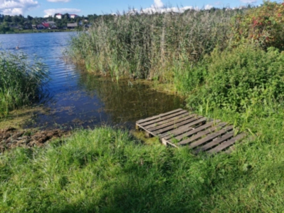 Житель Себежа сядет на 6 лет за убийство знакомого 