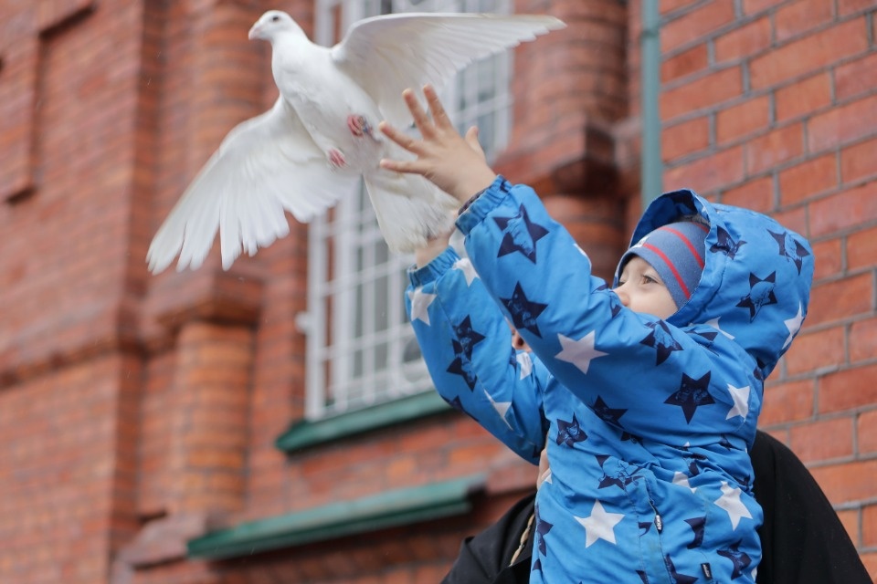 Фотоитоги-2022