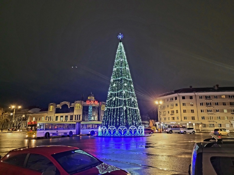Главная новогодняя ель в центре Пскова простоит дольше обычного Главная новогодняя ель в центре Пскова простоит дольше обычного