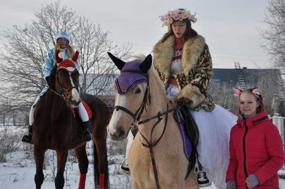 В Псковском районе прошел фестиваль по конному спорту