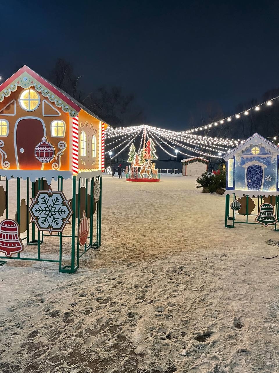 Псковичи могут посетить «Дачу Деда Мороза» по «Пушкинской карте» до 15 января