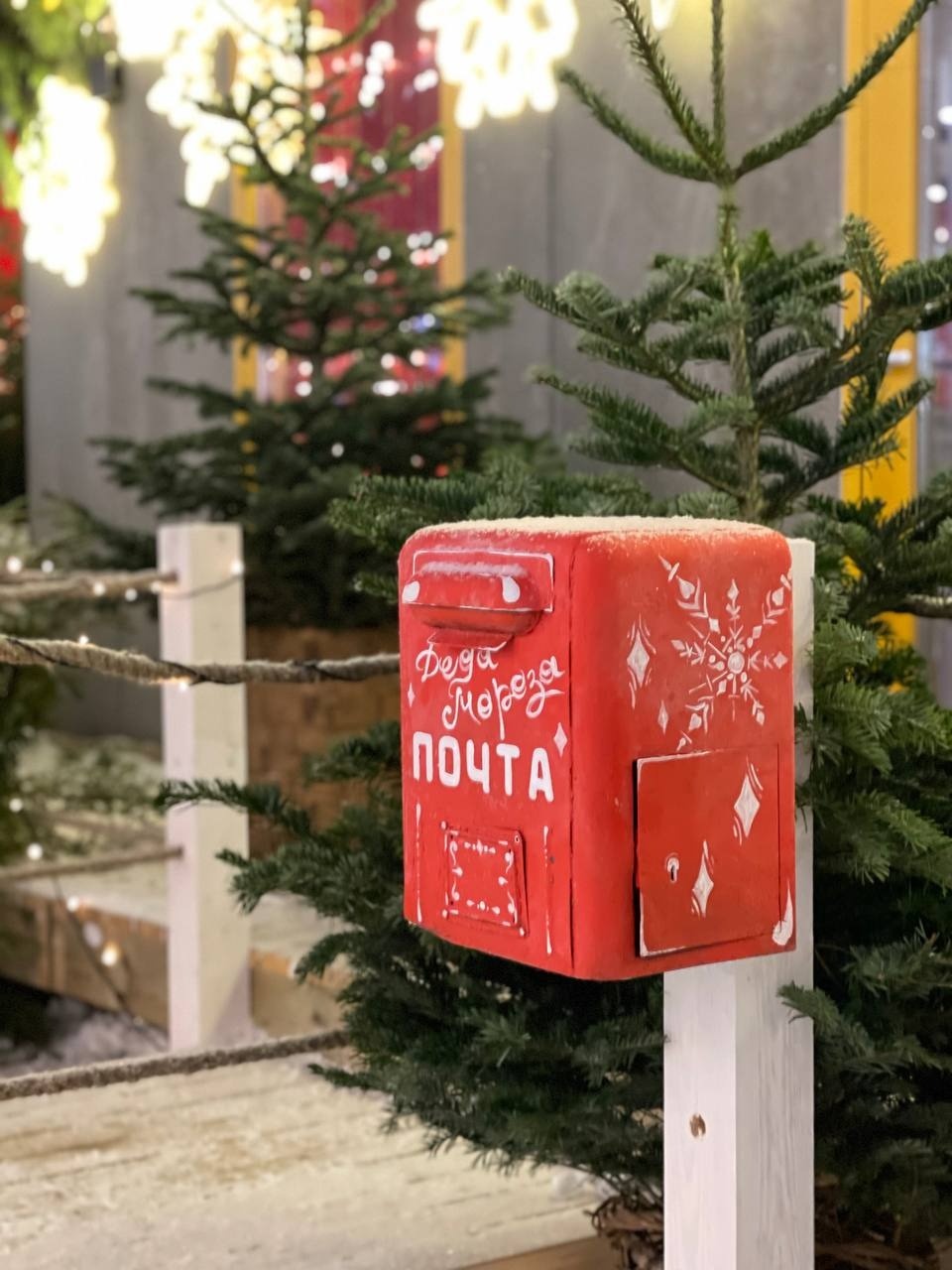 Псковичи могут посетить «Дачу Деда Мороза» по «Пушкинской карте» до 15 января