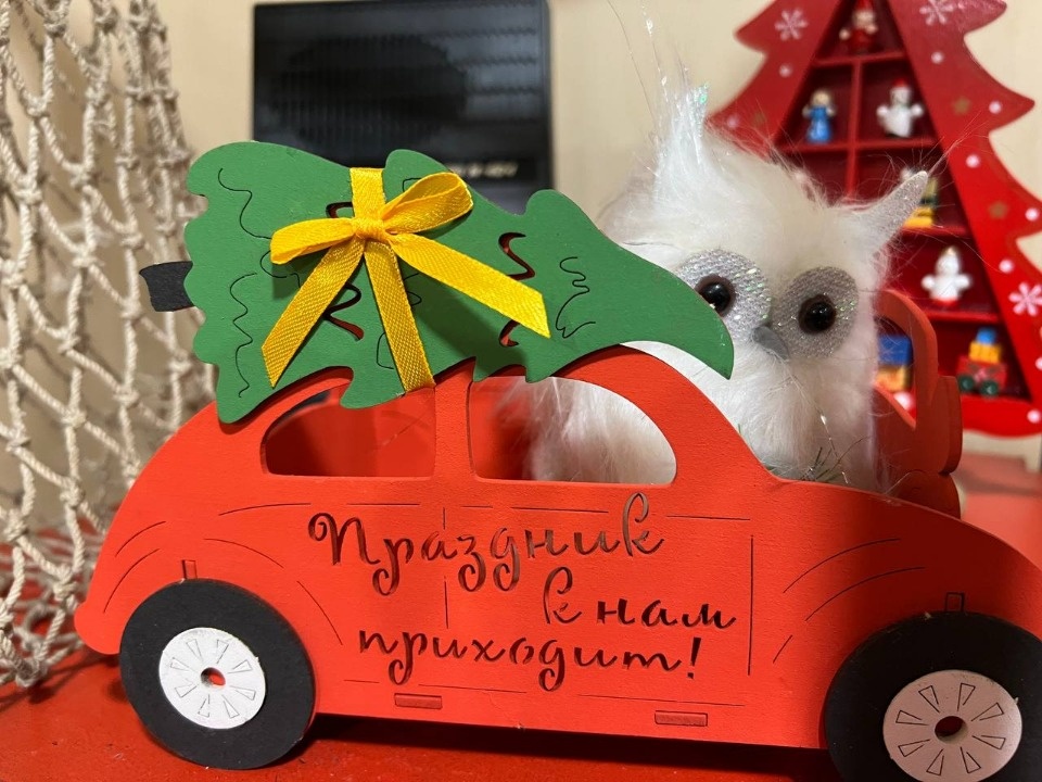 Псковичи могут посетить «Дачу Деда Мороза» по «Пушкинской карте» до 15 января