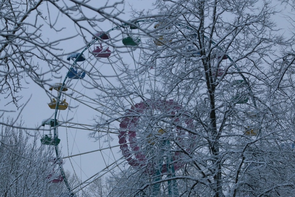 До +1 градуса прогреется воздух в Псковской области 12 января