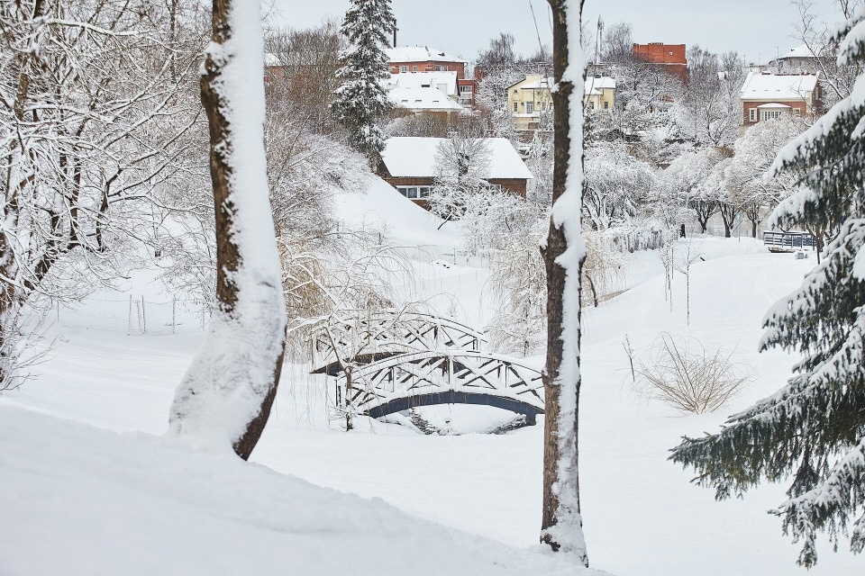 До 4 градусов тепла прогнозируют псковичам 13 января