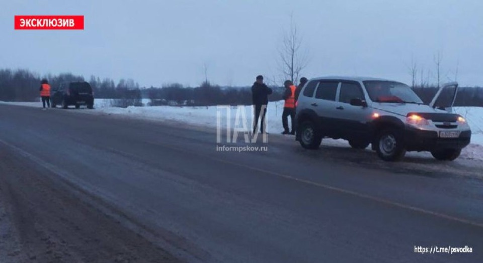 Сбившего козу водителя сбила другая машина в Новосокольнический районе Сбившего козу водителя сбила другая машина в Новосокольнический районе