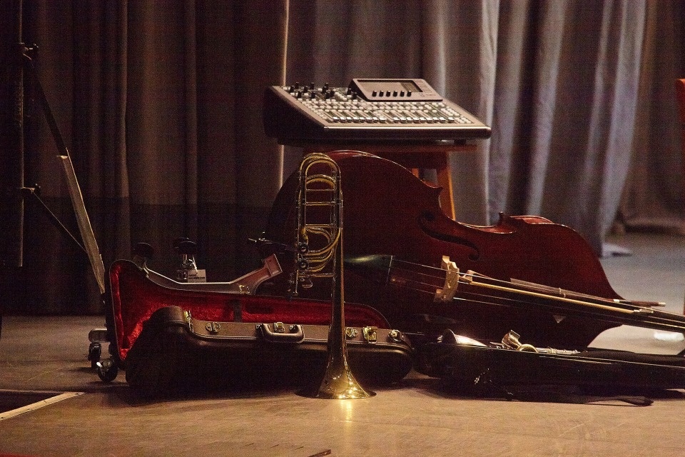 Два коллектива учредят при Детской филармонии Псковской области