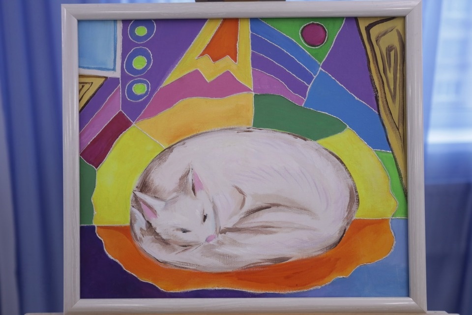 Добавили красок