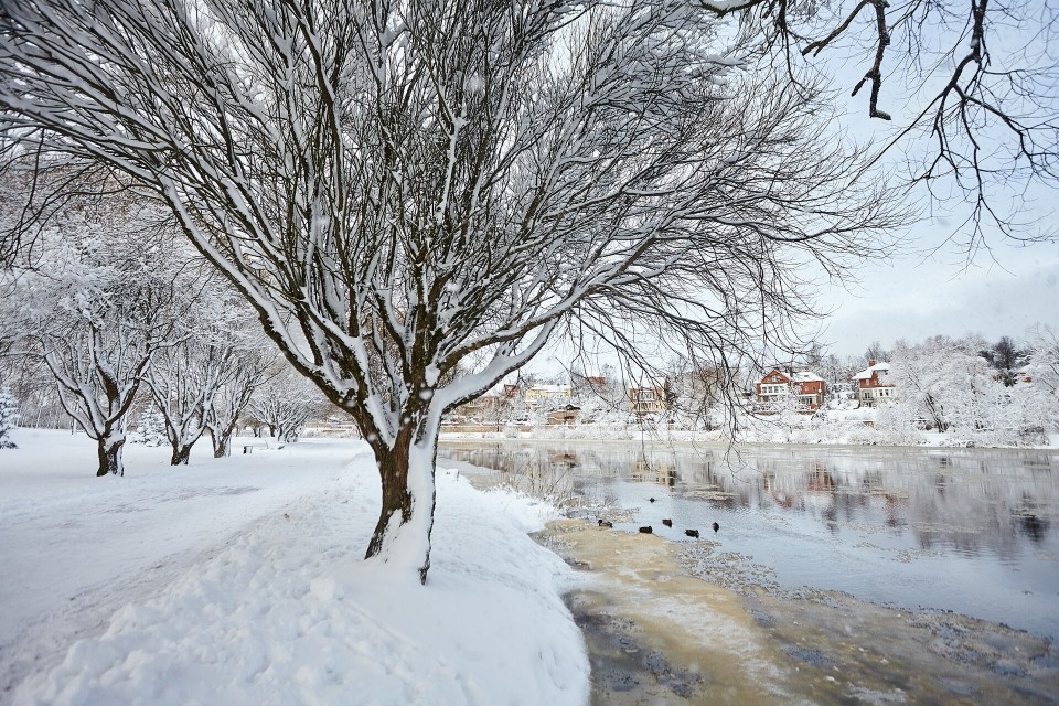 До -5 градусов ожидается в Псковской области 6 февраля