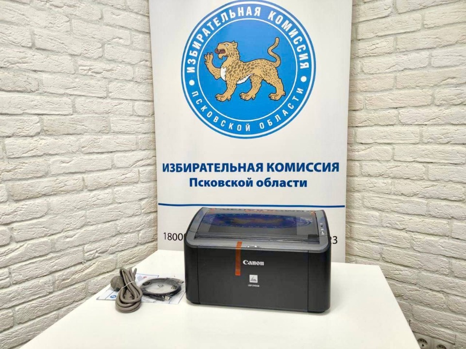 Почти 260 принтеров закупили для псковских участковых избирательных комиссий
