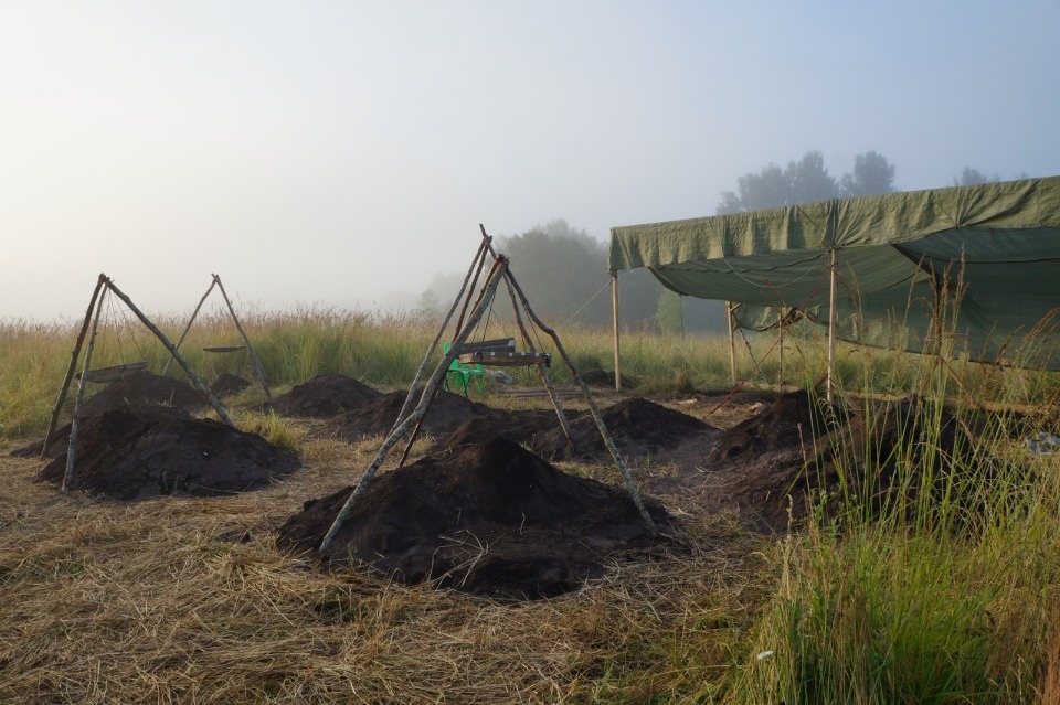 Псковичи могут поучаствовать в конкурсе на лучший проект создания археологического парка в Новосокольническом районе