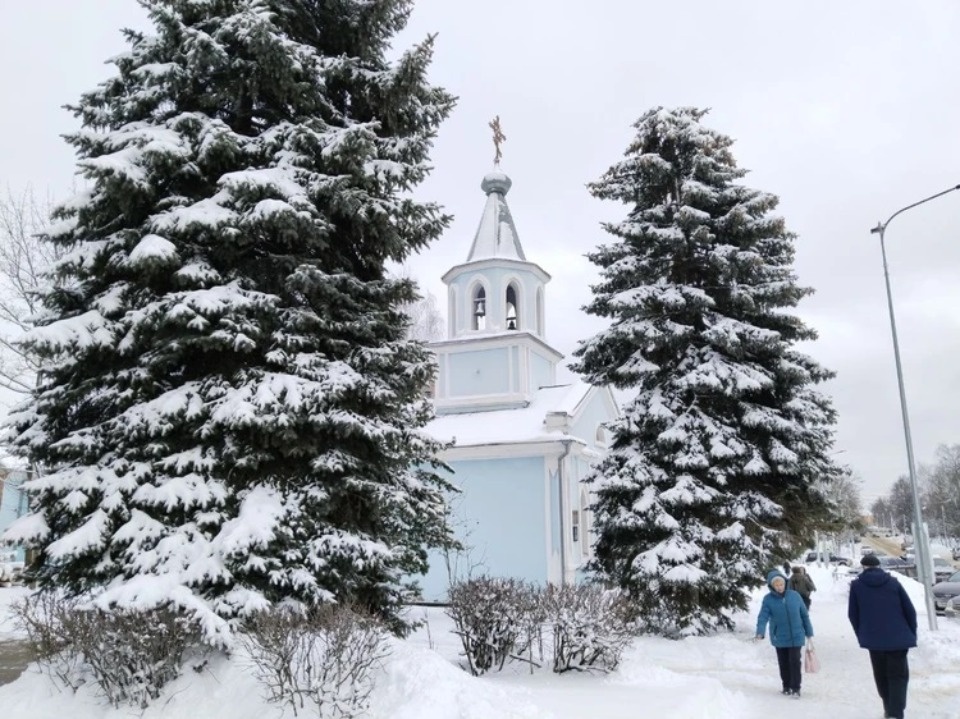 Псковские синоптики назвали самый заснеженный район после обрушения циклона