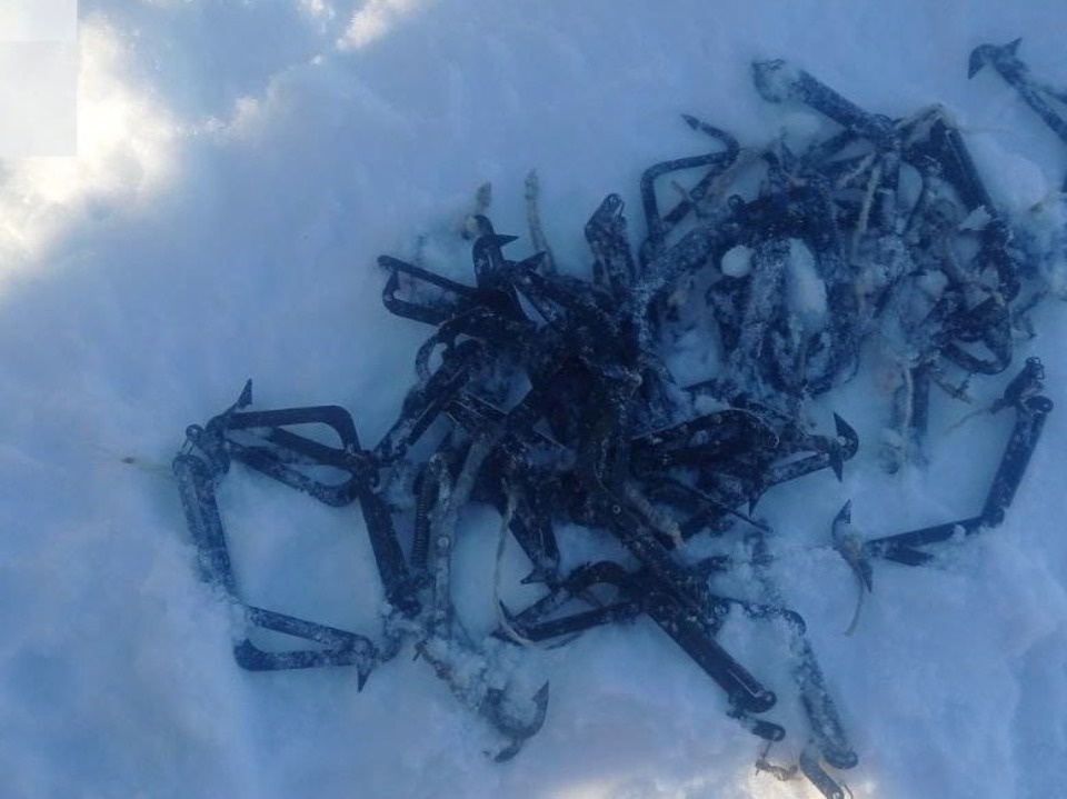 Более 70 капканов изъяли инспекторы Полистовского заповедника на озере Полисто