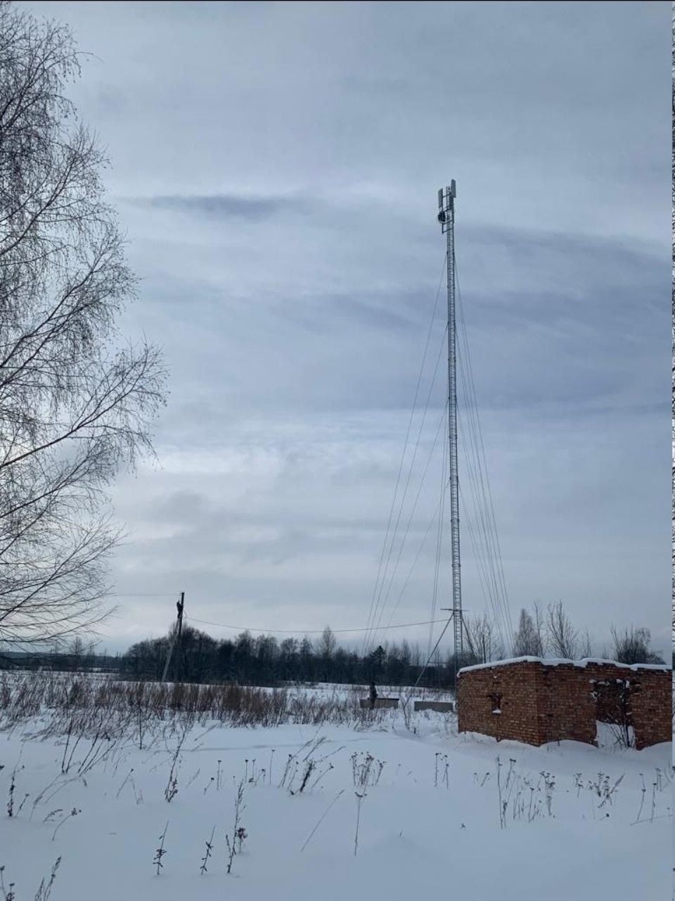 Базовую станцию установили в деревне Каськово Куньинского района