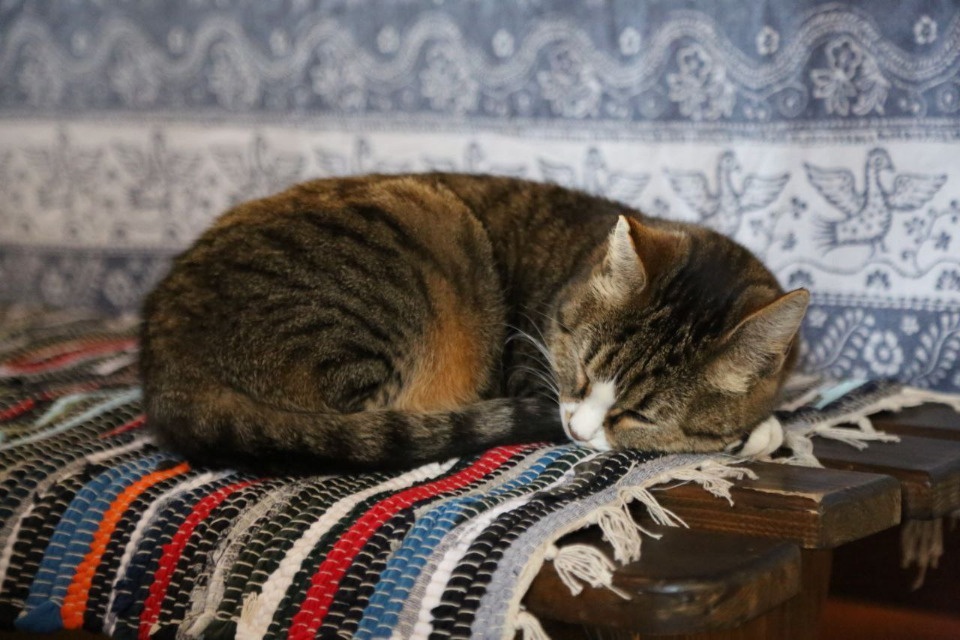 Кафе музея-заповедника «Изборск» закрывается на санитарные дни Кафе музея-заповедника «Изборск» закрывается на санитарные дни