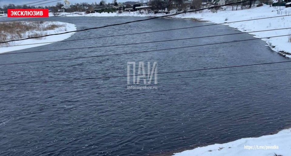 В Острове под висячим мостом утонул нетрезвый мужчина