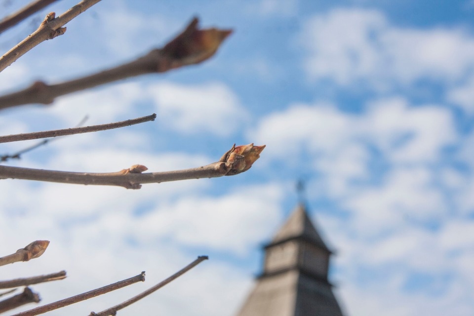 До +2 градусов и без осадков прогнозируется в Псковской области 7 марта До +2 градусов и без осадков прогнозируется в Псковской области 7 марта
