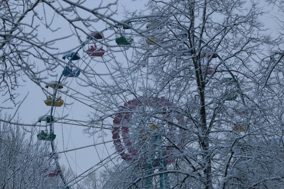 До 3 градусов тепла прогреется воздух в Псковской области 8 марта