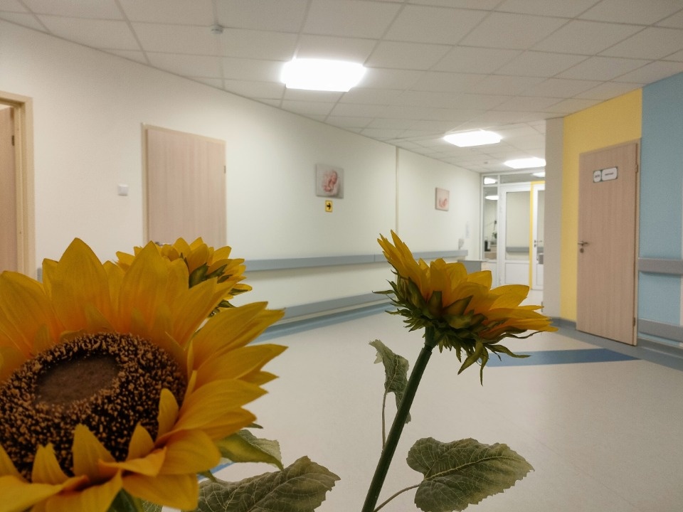 Детский вопрос