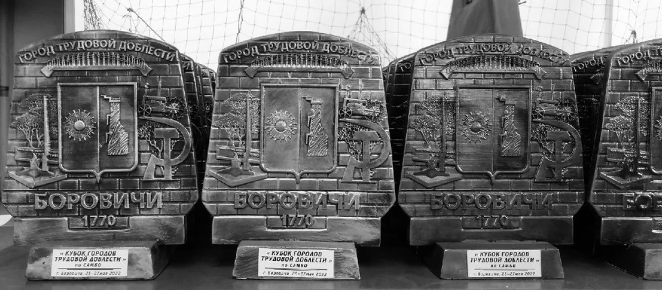 Псковские спортсмены признаны лучшими на всероссийских соревнованиях по борьбе самбо