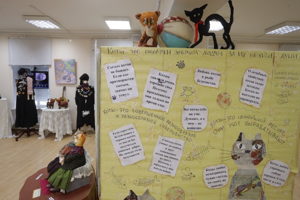 «Котомарт»