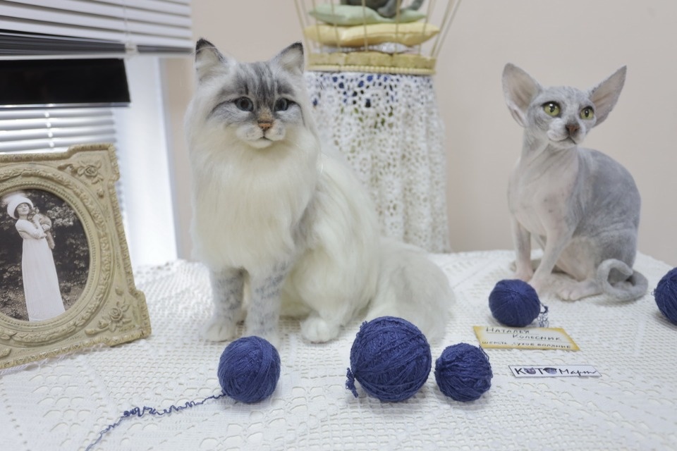 «Котомарт»