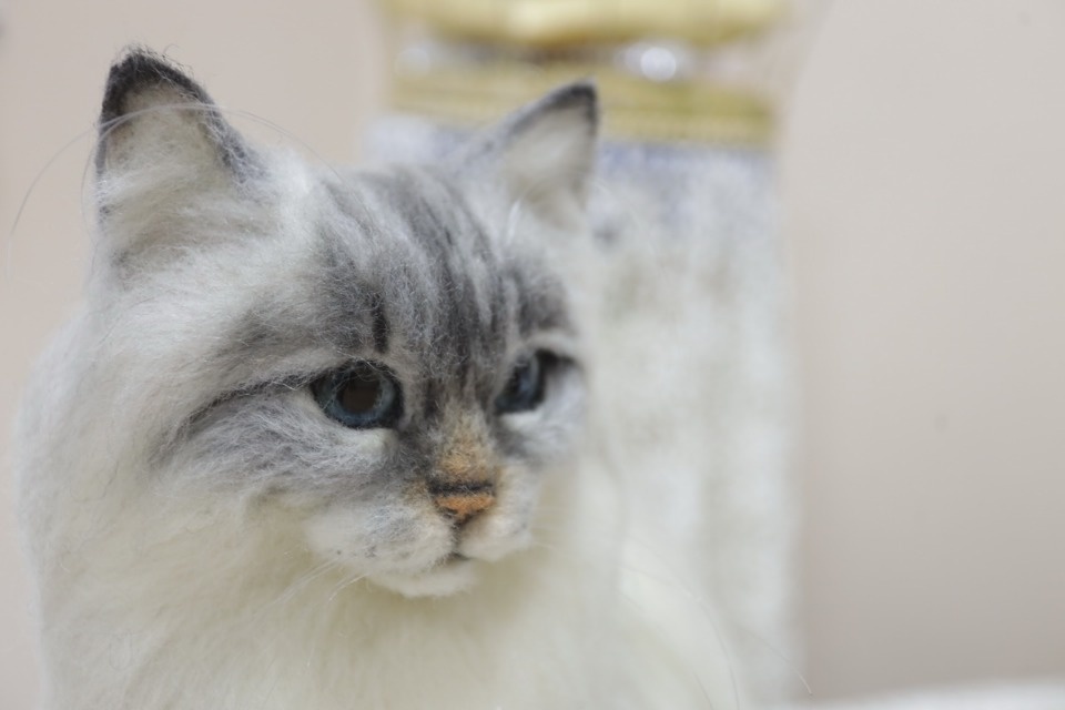 «Котомарт»