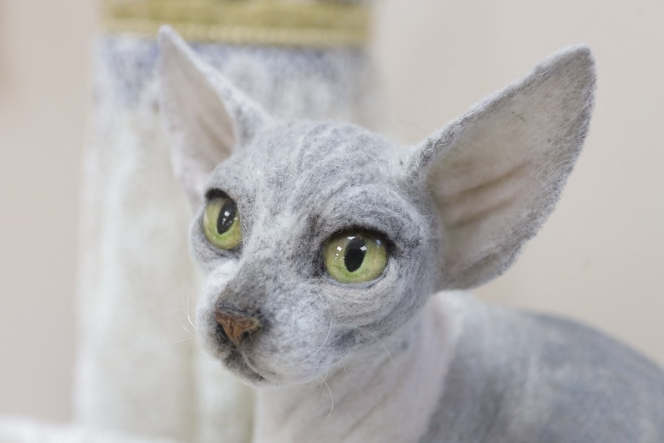 «Котомарт»