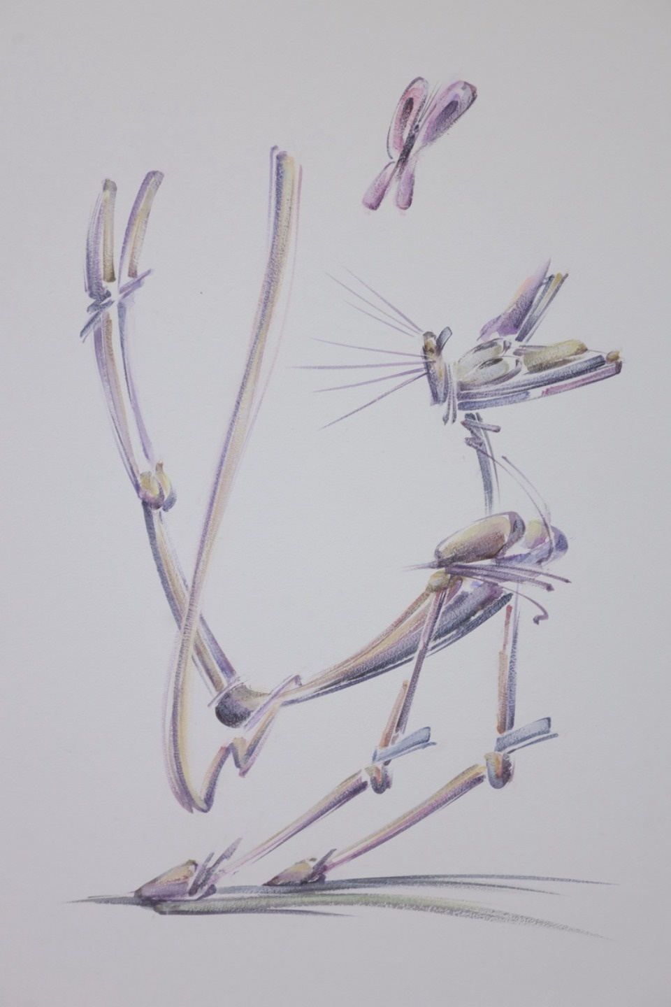 «Котомарт»