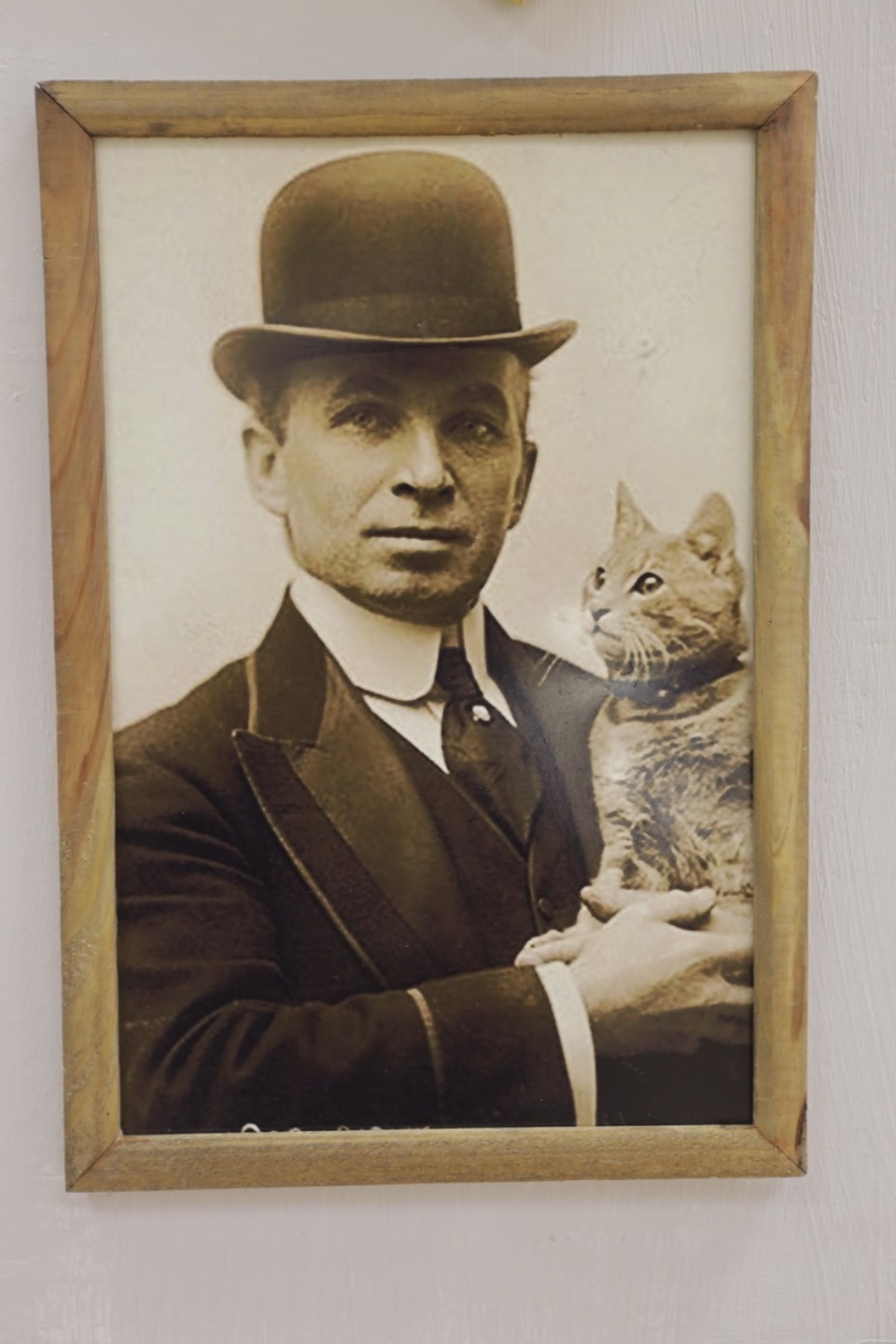 «Котомарт»