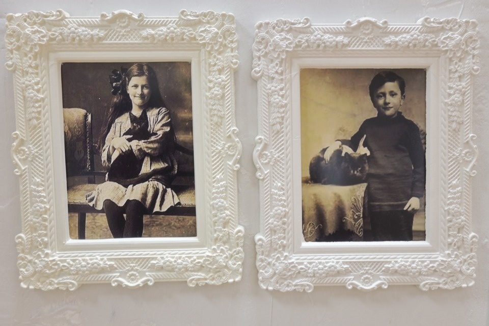 «Котомарт»