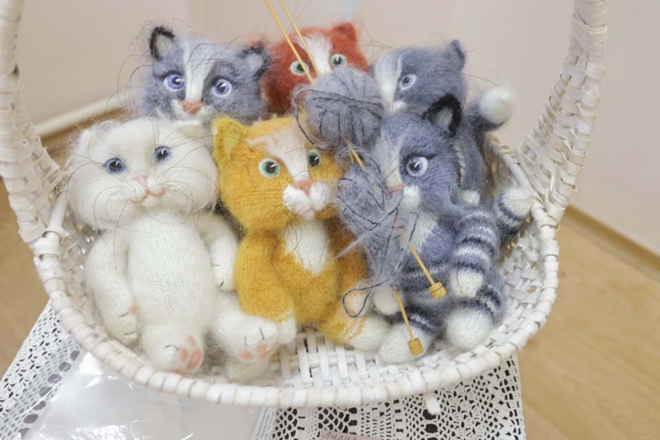 «Котомарт»