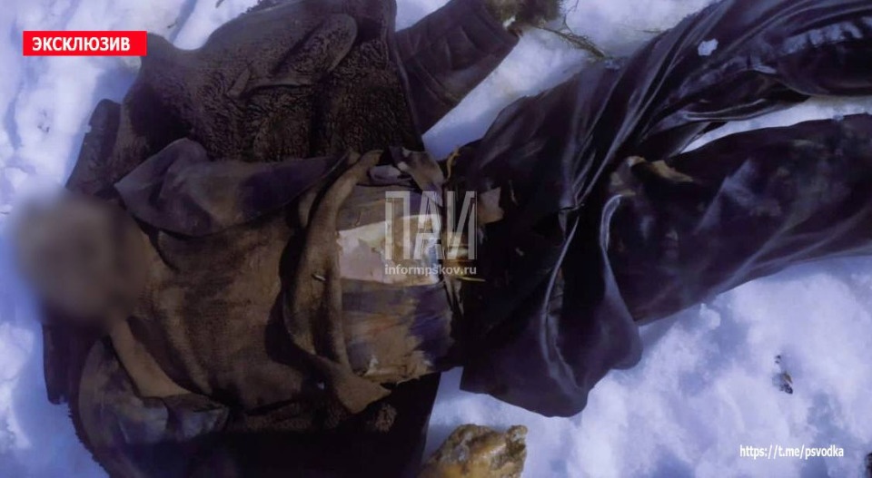 В реке Великой в Острове нашли труп мужчины В реке Великой в Острове нашли труп мужчины