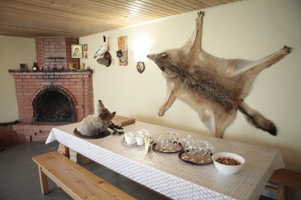 В мире животных 