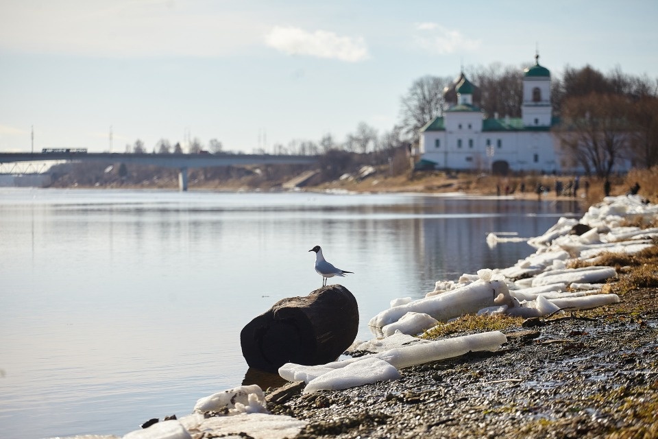 До +9 градусов прогнозируется в Псковской области 22 марта