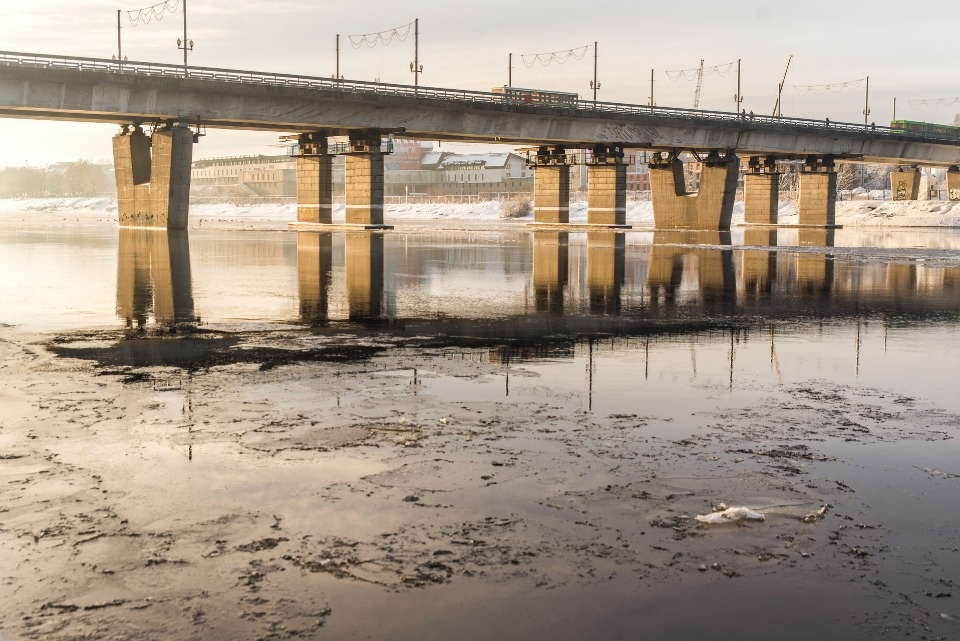 Дождь и до +12 градусов ожидает псковичей 23 марта