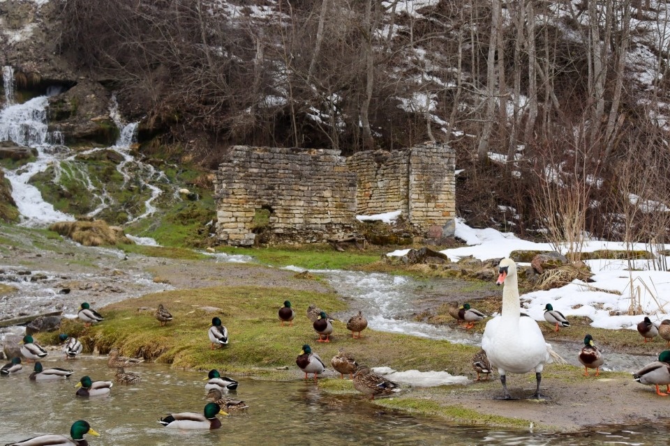 До 13 градусов тепла прогреется воздух в Псковской области 24 марта До 13 градусов тепла прогреется воздух в Псковской области 24 марта