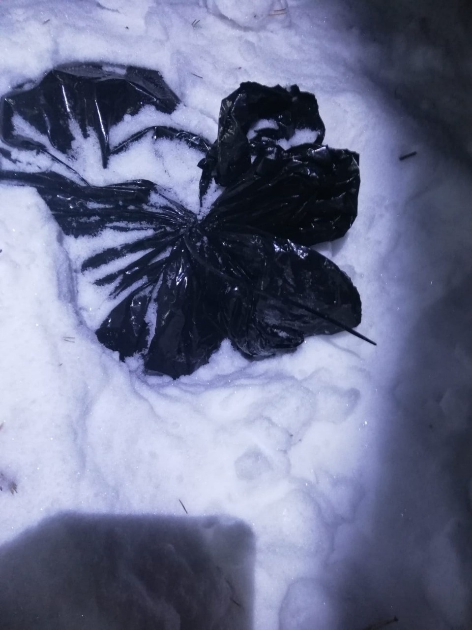 Житель Смоленска делал закладки с наркотиками в Невельском районе