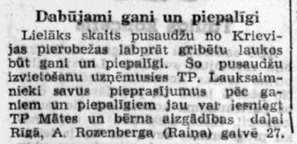 «Это напоминало поход за рабами»