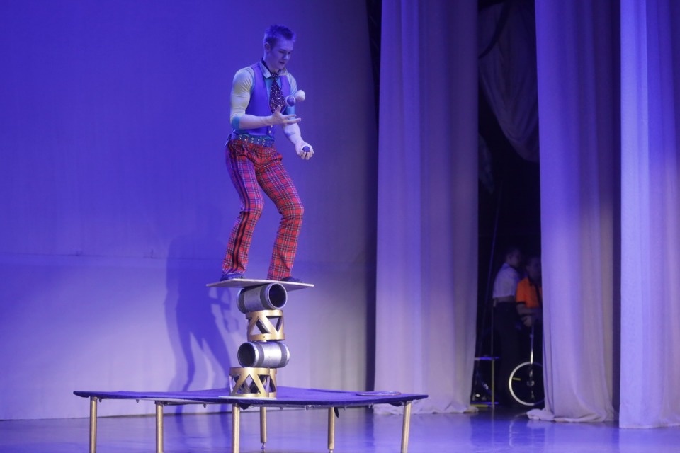 Цирк, да и только